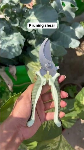 🌱🌼 Complete 20-Piece Gardening Tool Set! 🛠️ Perfect for Home & Farm Use! 🚜✨