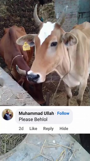 Muhammad Mohsin on Reels