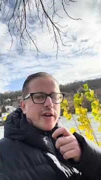 Les signes compatibles avec les signes de feu #astrologie #belier #lion #sagittaire