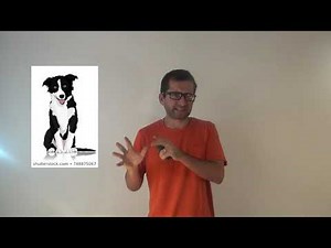 Idealismo, Nominalismo y Realismo