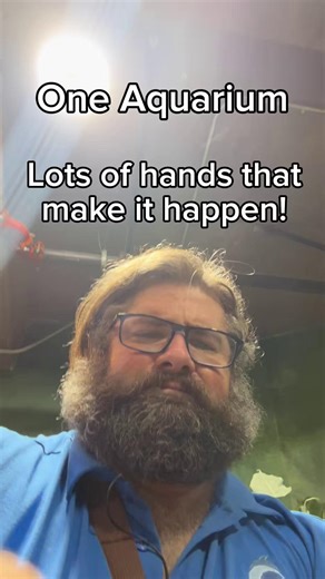 One Aquarium, lots of hands who make it happen! 👋 Thank you to all our outstanding animal care teams, who ensure that our animals receive the best care, enrichment, and attention they deserve. | The Living Planet Aquarium