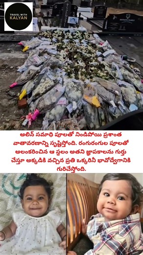 పూలతో అలంకరించిన అలిన్ సమాధి… భావోద్వేగ క్షణాలు #yt #ytshorts #trending #alin
