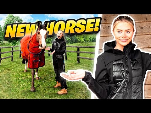 I SURPRISED BEHZINGA WITH A NEW HORSE