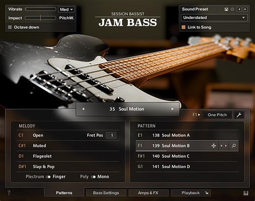 Native Instruments Session Bassist - Jam Bass Virutal Instrument