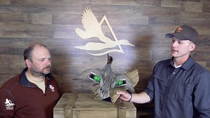 How can you tell if you have a first year duck? We show you one of the ways that Delta and U.S. Fish and Wildlife Service use to ID juvenile waterfowl. The Waterfowl ID guide is packed with detailed photos and step-by-step instructions to ID 47 ducks, geese, and swan across North America. Get your copies at waterfowlid.com | Delta Waterfowl Foundation