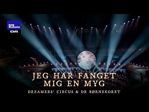 Jeg har fanget mig en myg // Dreamers’ Circus & DR Børnekoret