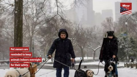 Brutal Polar Vortex Sparks Freeze Warning For New York