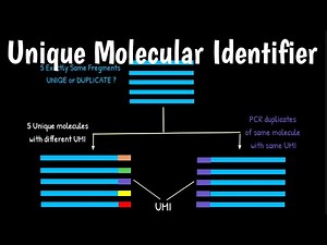 Unique Molecular Identifier | UMI | Molecular Barcodes |