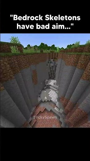 Minecraft bedrock Skeleton 💀 #minecraft