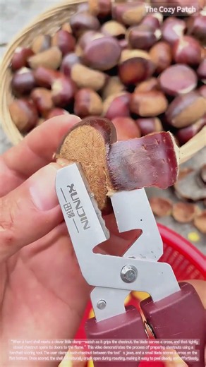 One Press, One Cut: How a Chestnut Cracker Prepares Them for Roasting
