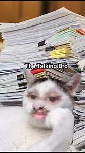 882K views · 14K reactions | Dear Math | The Talking Bro | Facebook