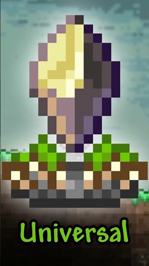 Extremely RARE Terraria Items!