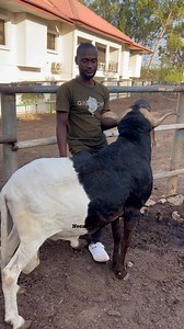 Learn From Other Farmers 👨‍🌾 Visit farms, ask questions, and share experiences. Learning from others’ success saves you years of trial and error. Do you regularly connect with other farmers for ideas?👇 #fblifestyle | Aat Integrated Farm