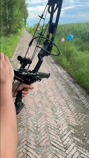 Steel Ball Semi-Automatic Compound Bow #archary #compoundbow#fyp #tools #hunting #outdoors #arrows