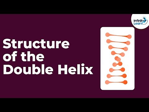 Genetics - Structure of the Double Helix - Lesson 14 | Don't Memorise