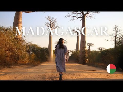 MADAGASCAR - AVENUE OF THE BAOBABS & THE TSINGY PEAKS