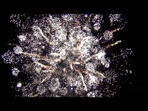 3 inch 4 inch, 5 inch, 6 inch, 8 inch shells + 6 inch, 8 inch statutas oud en nieuw 2014-2015