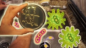 The dirtiest things in your house