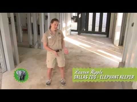 SmartStrand Zoo Challenge: The Carpet Wins!