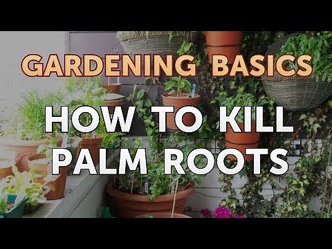 How to Kill Palm Roots