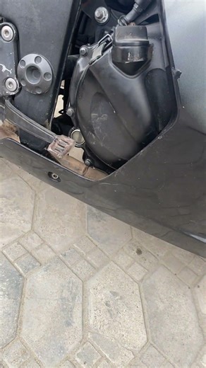 Oil Leaking Under My Motorcycle. What Does It Mean?