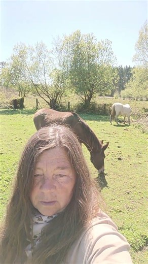 Pferde reagieren nicht auf dein Tun – sondern auf dich