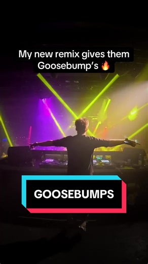 My Unique Remix of Goosebumps