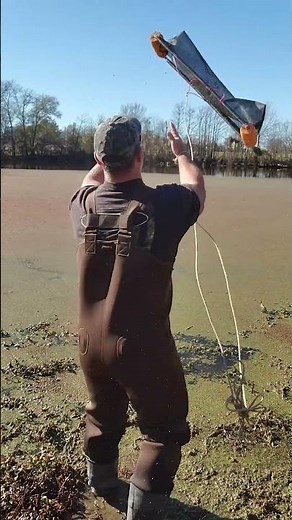 Duckweed Removal The Pond Deskuzzer - Simple Application Video #fishpond #landscaping #duckweed