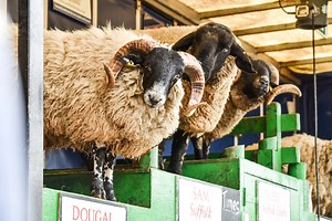 Women in Farming - Yorkshire Agricultural Society