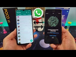 How to Move Your WhatsApp Chats from Android to iPhone - Switching Phones