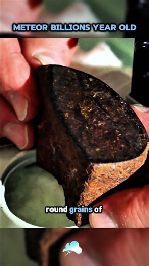 Dealer Not Expected the Meteorite Value ! 😱