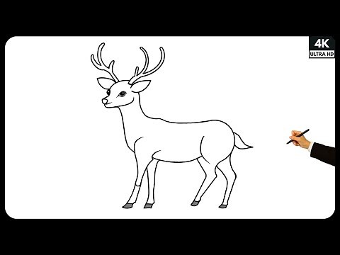How to Draw a Deer | Deer Drawing | Step by Step Drawing Tutorial | Easy Drawing for beginners