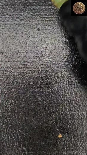 What’s the best comeback you ever heard? | Best Comebacks