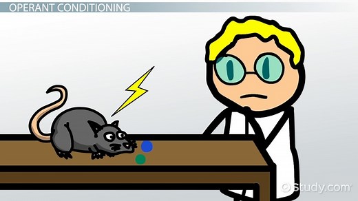 Continuous Reinforcement | Definition, Schedules & Examples