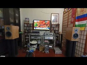 Cayin CS-55A+Dynaudio contour 1.3se 德永英明/藍雨