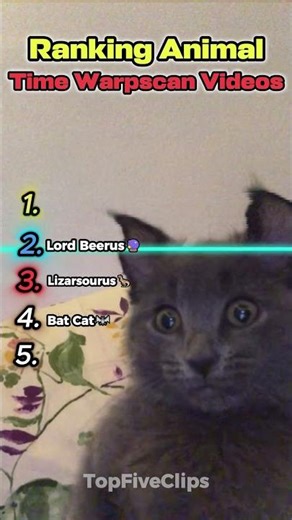Ranking Animals Through Time Warp Scan 😂🐾 #shorts #animals #trending