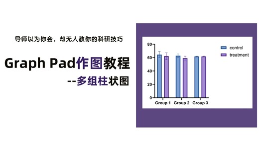 【手把手】GraphPad绘制多组柱状图📊
