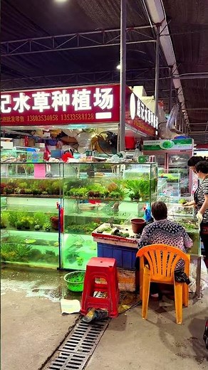 Exploring a Chinese Tropical Fish Market and see this Waterplant Shop #aquarium #aquascape