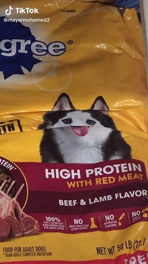 Explore Pedigree High Protein Dog Food Options