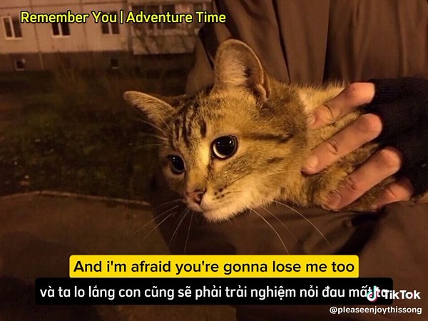 Remember You | Adventure Time #rememberyou#adventuretime #music #song #vietsub #fyp #lyrics #viral