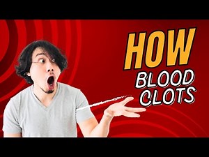 Blood Clotting Explained | Hemostasis Made Easy for Students