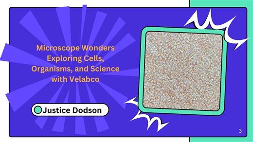 Microscope Wonders Exploring Cells, Organisms, and Science with Velabco