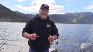 2.1K views · 41 reactions | Use the Shuttle Hawk™ to fish additional rods on a single downrigger. | Mack's Lure | Facebook