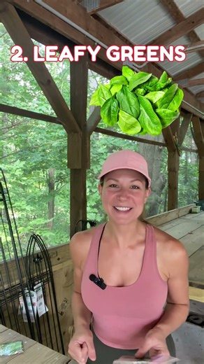 5 great vegetable seeds you can plant TODAY! #gardening #vegetablegarden