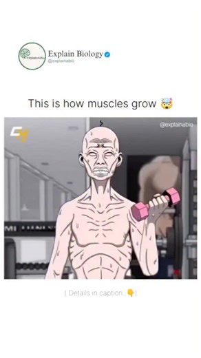 BIOLOGY | MEDICAL | LIFE on Instagram: "Ever wondered what happens when you work out in the gym? As you exercise, your muscles undergo stress and develop tiny micro-tears. During rest, your body repairs these tears using protein, making the muscles stronger and slightly bigger than before. This process also boosts metabolism, improves strength, and increases endurance. Consistency, proper nutrition, hydration, and sleep are the real keys to visible results. Train hard, recover smart! Follow us @