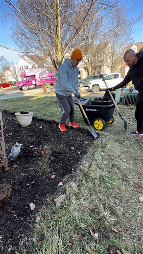 Achieving the Perfect Garden Edge