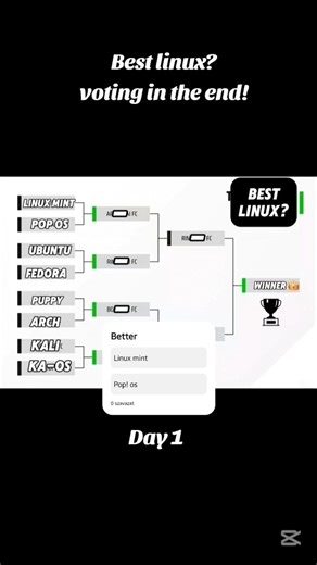Better linux|Day 1:L.Mint vs Pop! os. #tech #linux