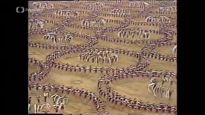 EDIT: Stalo se před měsícem | 29. června 1985 | Spartakiáda 🤸‍♀️🕊️„Když nastoupily dorostenky a rozevlály bílé stuhy jako křídla holubic, uvědomili jsme si, že si prostě život bez míru nedovedeme představit." Na Strahově vrcholila šestá československá spartakiáda. 👉 bit.ly/archivdne ▶️ Podívejte se také na díl pořadu Archiv D, který zachycuje všech sedm celostátních spartakiád konajících se od roku 1955 do roku 1985. 👉 bit.ly/nase_spartakiady_ArchivD EDIT: Omylem jsme naplánovali tento přísp
