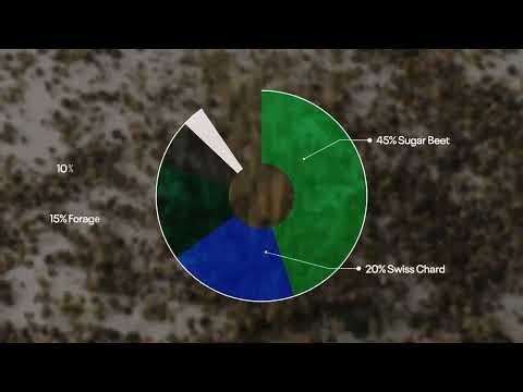 Deer Creek Seed Beet & Sweets Food Plot Mix
