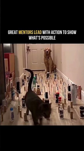 Great mentors lead with action to show what’s possible